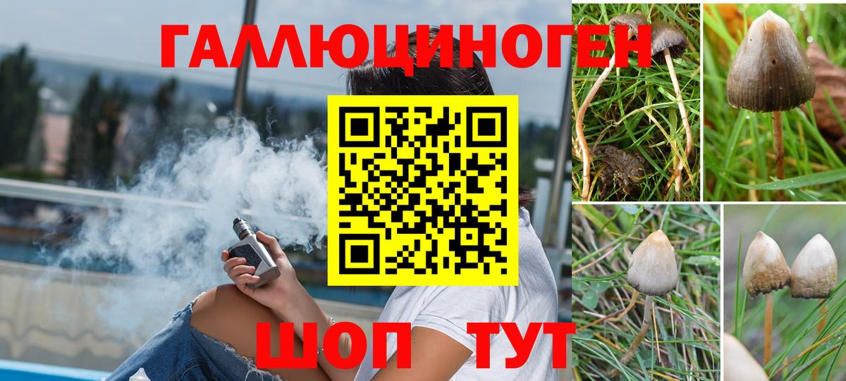 Сочи  наркота  Вход с VPN  Галлюциногенные грибы GOLDEN TEACHER  Псилоцибиновые грибы мухоморы 