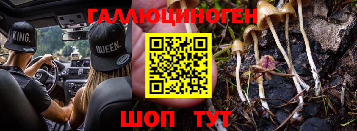 Псилоцибиновые грибы прущие грибы Сочи